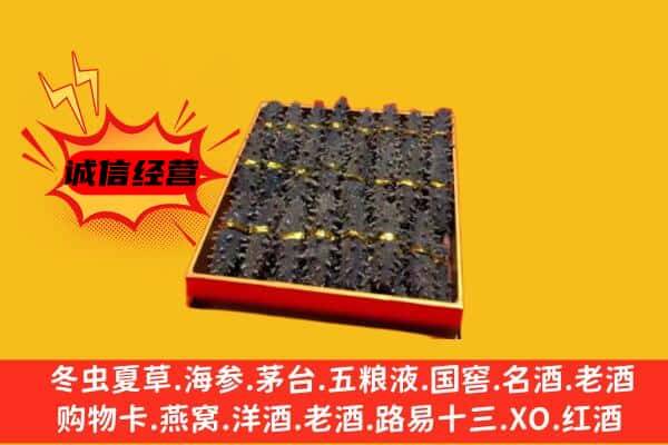 马边县回收海参